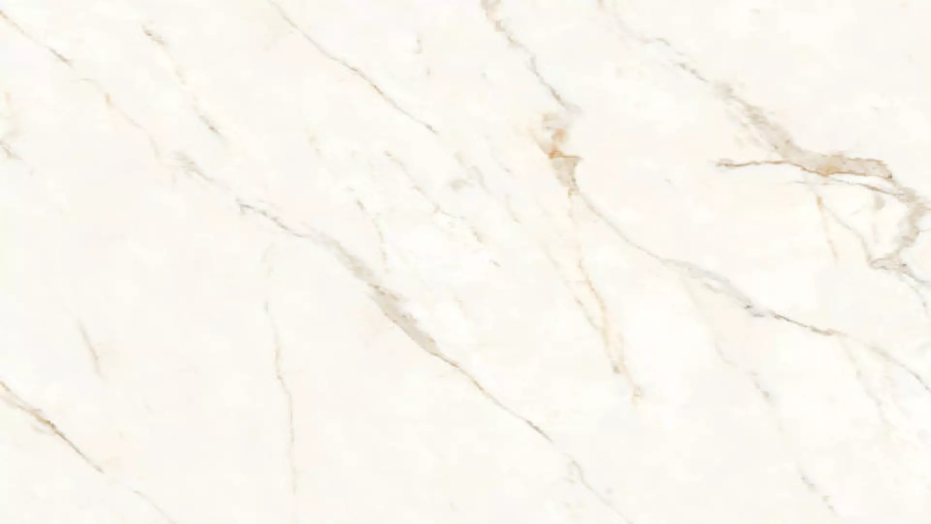 Magnifica Nineteen Forty-Eight 48" X 48" - 8 mm Polished Porcelain Tile In Calacatta Oro material