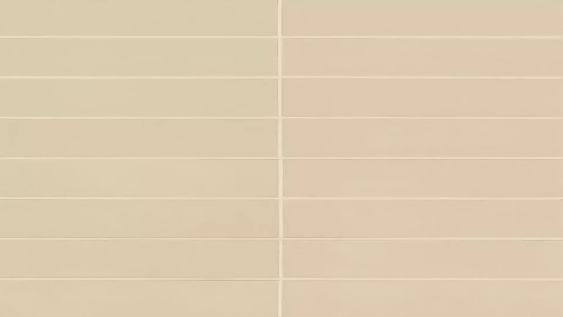 Sahara 3" X 12" Matte Porcelain Tile In Ecru material