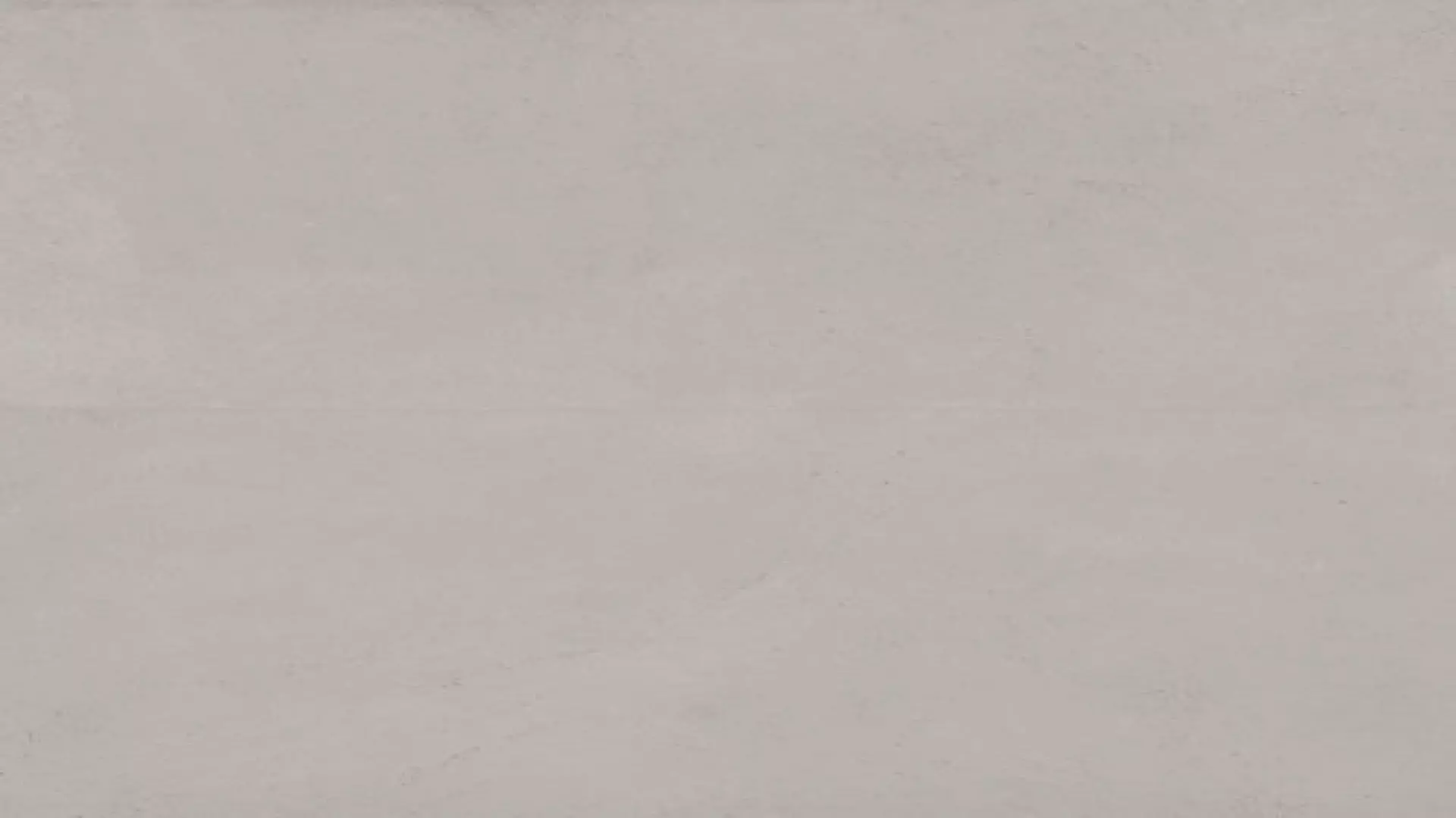 Thaddeus 24" X 48" Matte R11 Anti-Slip Rated Porcelain Tile In Pearl material