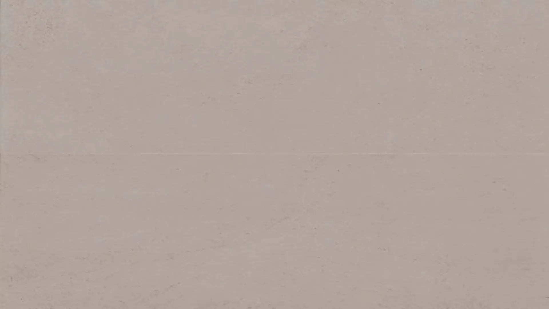 Thaddeus 24" X 48" Matte R11 Anti-Slip Rated Porcelain Tile In Taupe material