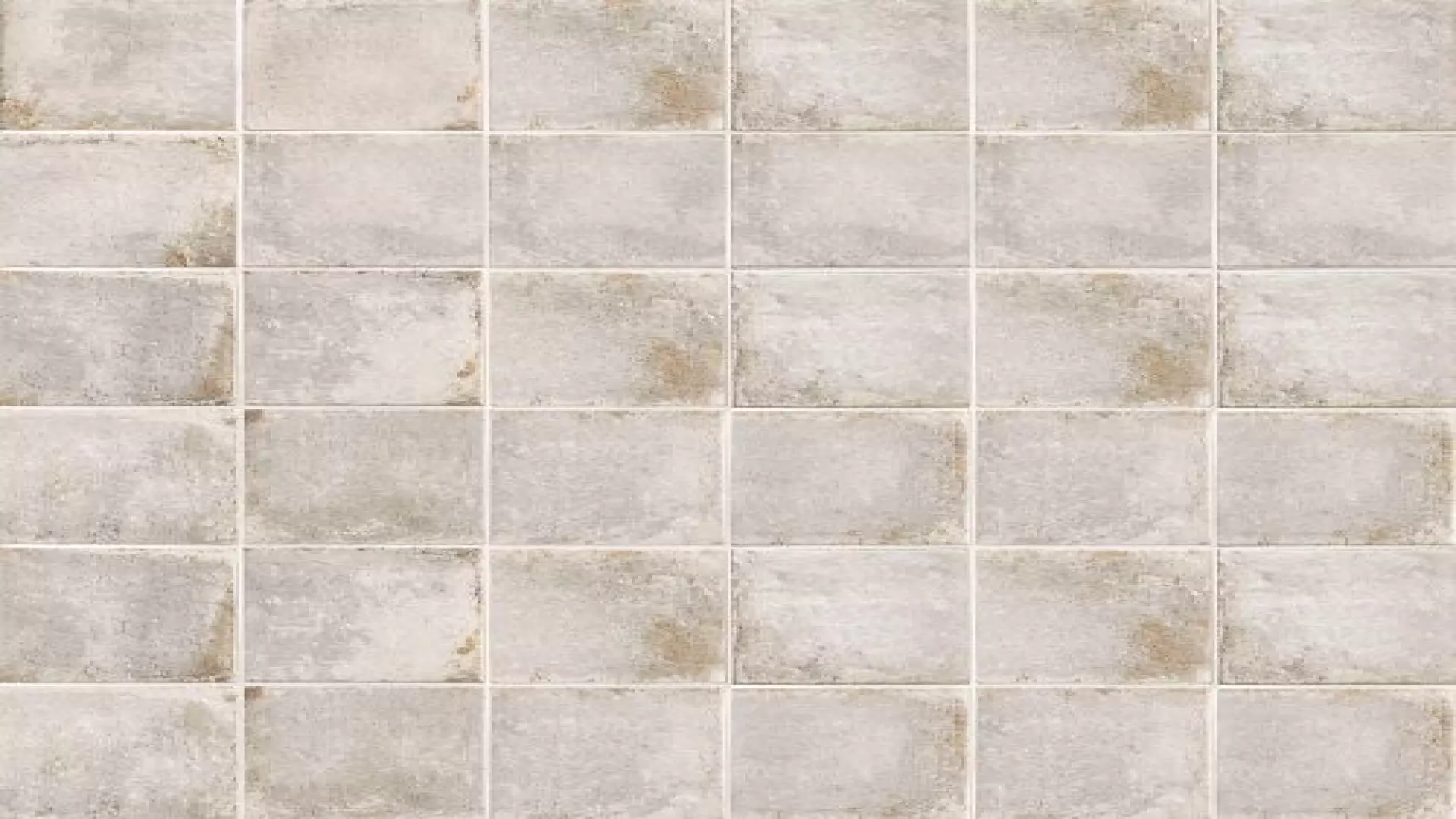 Vivace 4" X 4" Floor & Wall Tile In Fossil material