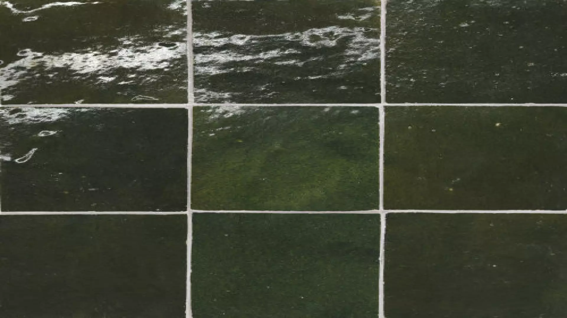 Zagora 4" X 4" Glossy Zellige Field Tile In Vert Mousse material