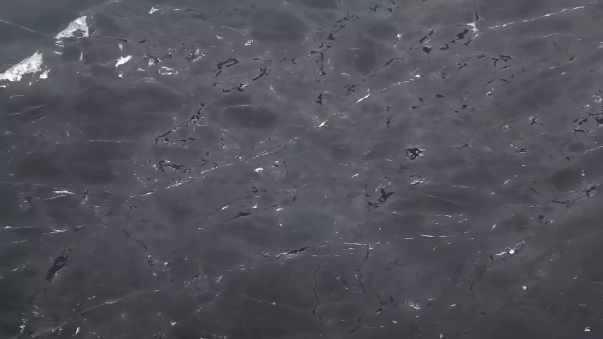 Black Diamond Honed Quartzite In 2 cm material