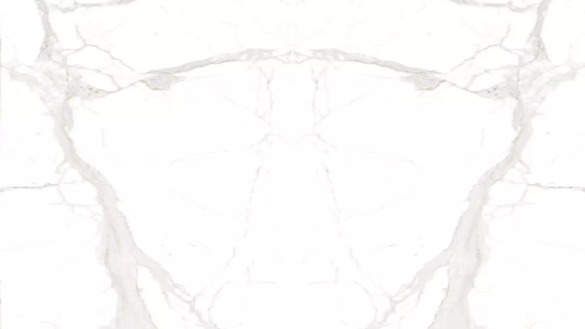 Magnifica Encore 60" X 126" - 12 mm Honed Bookmatch Porcelain Slab In Calacatta Super White material