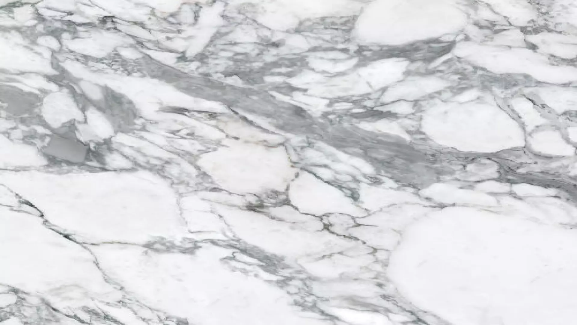 Magnifica Encore 60" X 126" - 12 mm Honed Porcelain Slab In Arabescato Grey material