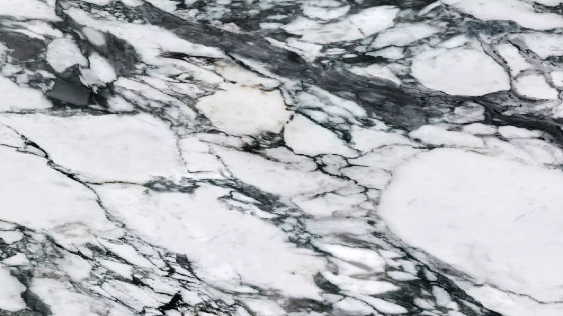 Magnifica Encore 60" X 126" - 12 mm Honed Porcelain Slab In Arabescato Nero material