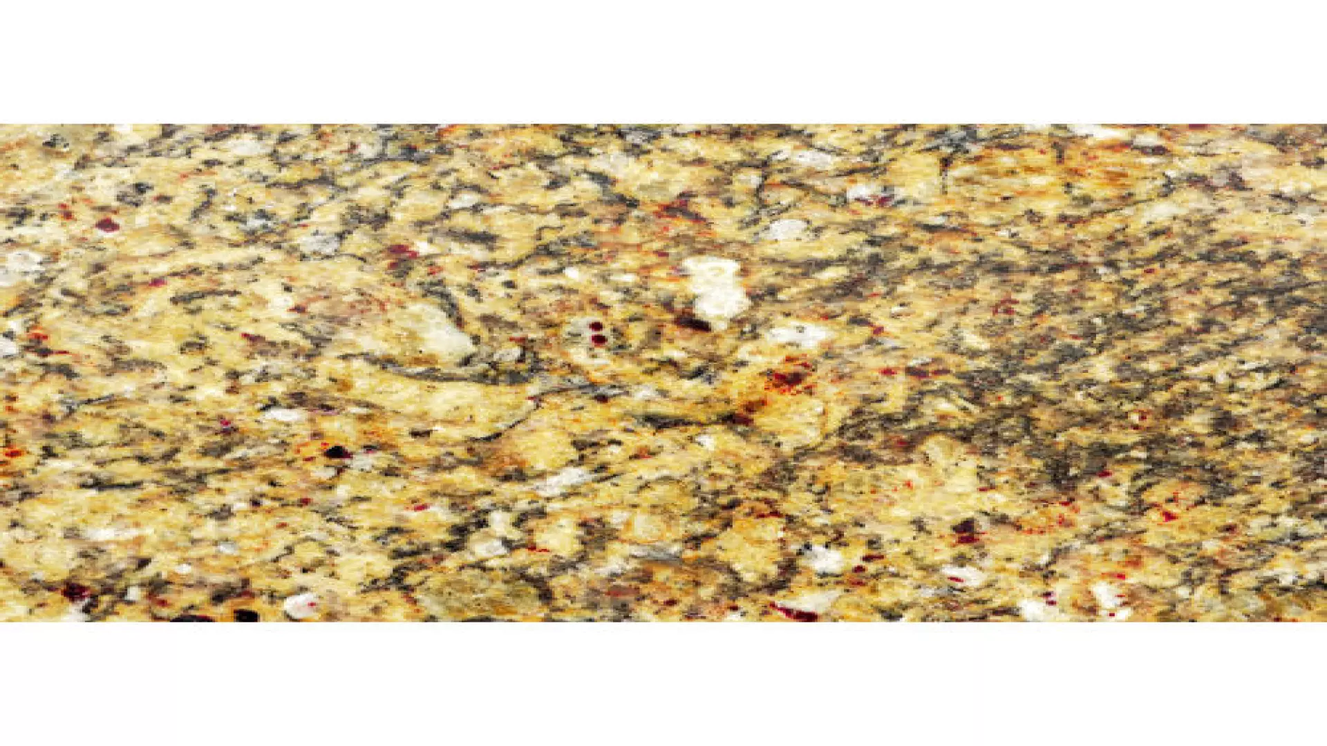 New Venetian Gold Granite In 2 cm material