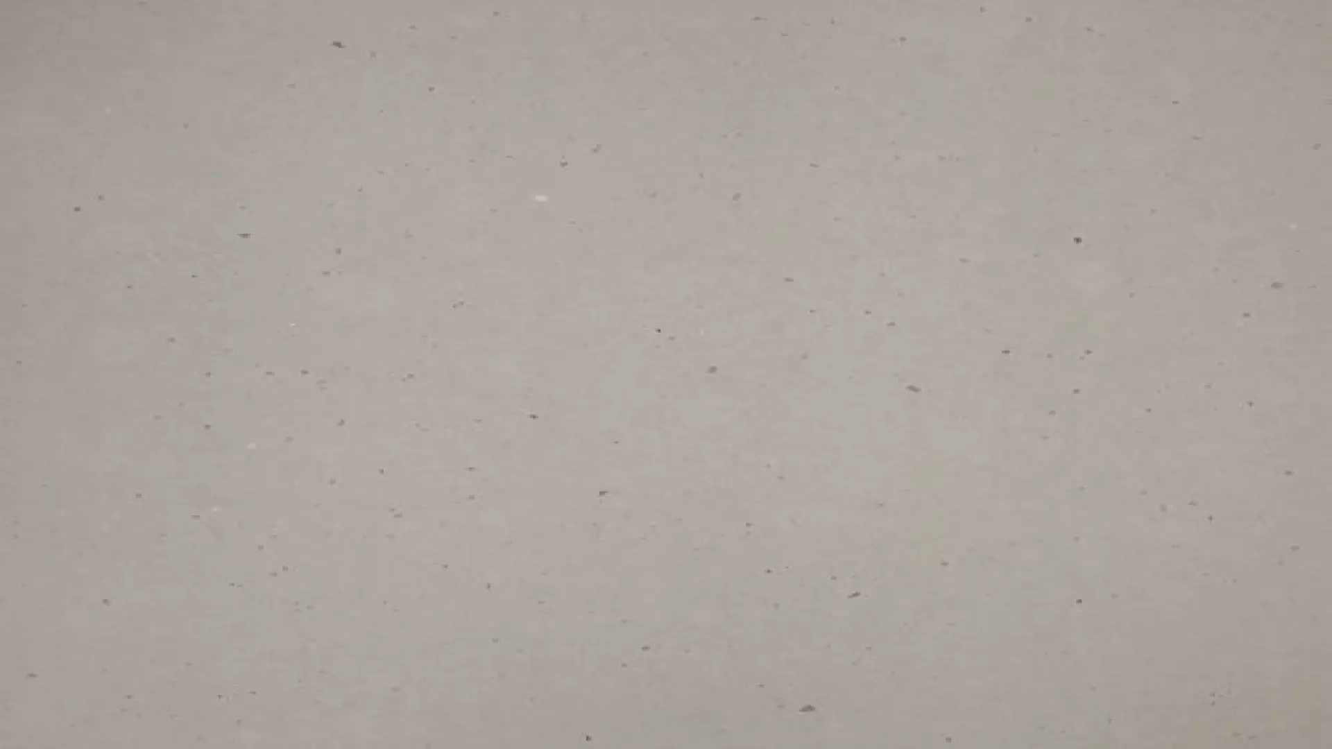 Revera 61" X 125" - 3 cm Velvet Quartz Slab In Ammonite Grey material