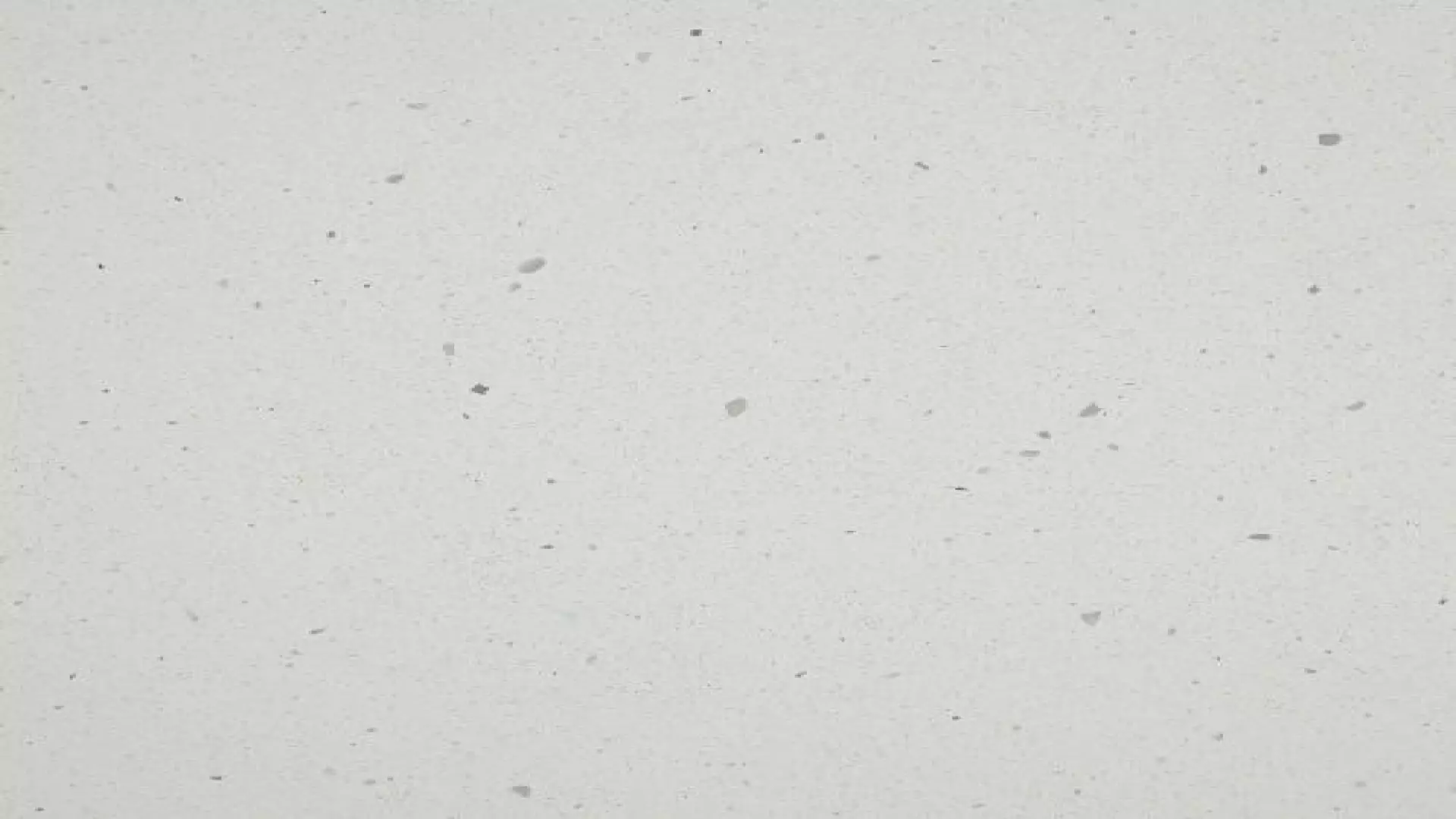 Revera 61" X 125" - 3 cm Velvet Quartz Slab In Pietra Platinum material