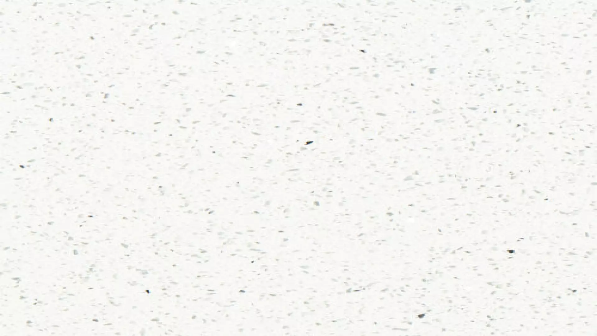Revera 63" X 126" - 3 cm Polished Quartz In White Mirror material