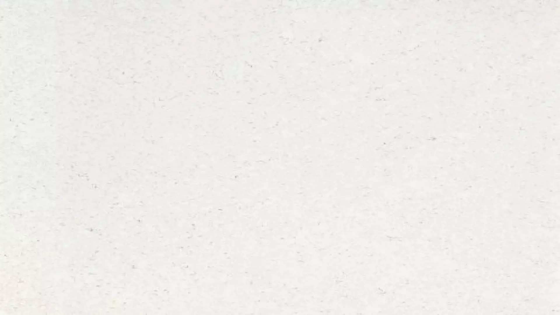 Revera 63" X 126" - 3 cm Polished Quartz Slab In Organic White material